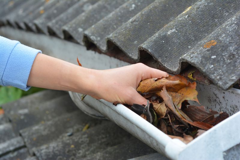 Securing Gutter Systems
