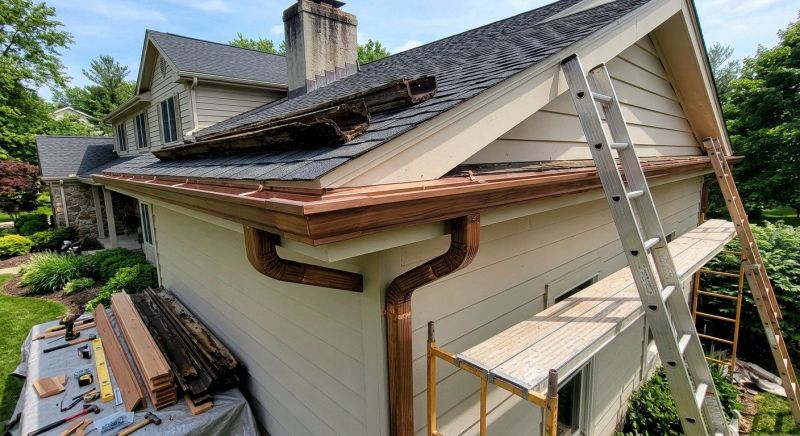 Gutter Service project example