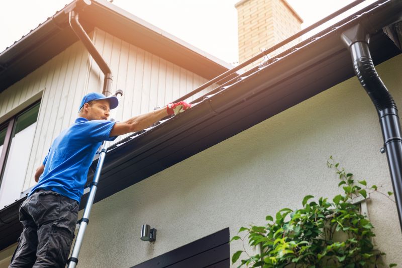 Gutter Maintenance in Dundalk
